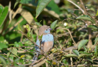 Aberdare Country Club